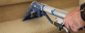Carpet Cleaning