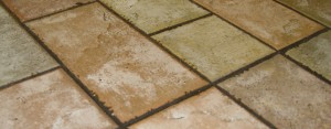 Tile & Grout Cleaning