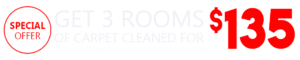 carpet cleaning salinas - carpet cleaning special